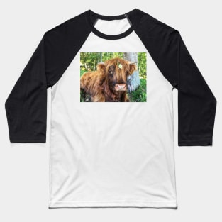 Scottish Highland Cattle Calf 2097 Baseball T-Shirt